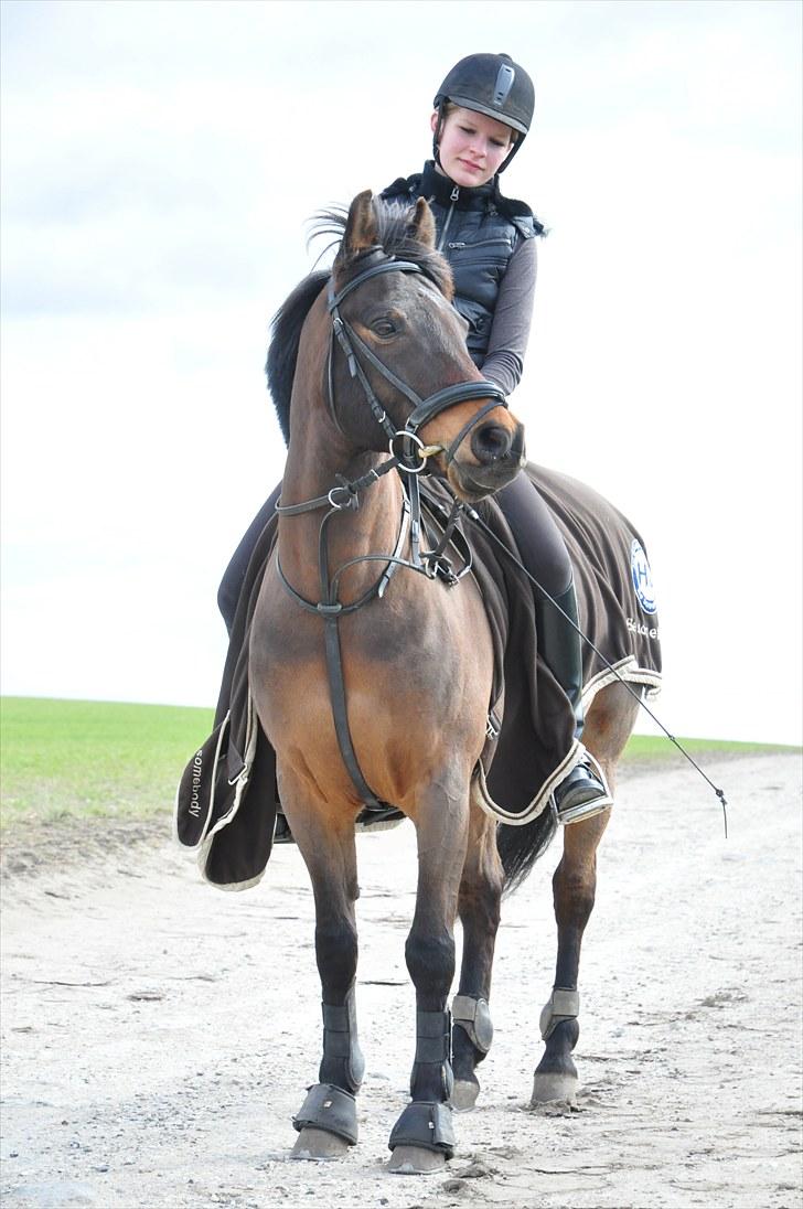 Anden særlig race Simba <3 - 14 - Jeg lovede, at den plads du havde i mit hjerte, aldrig ville blive byttet ud ! <3 billede 14