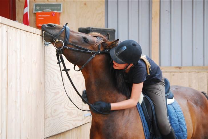 Anden særlig race Simba <3 - 15 - Jeg lovede dig, al den kærlighed jeg havde, som du fuldt ud fortjente ! <3 billede 15