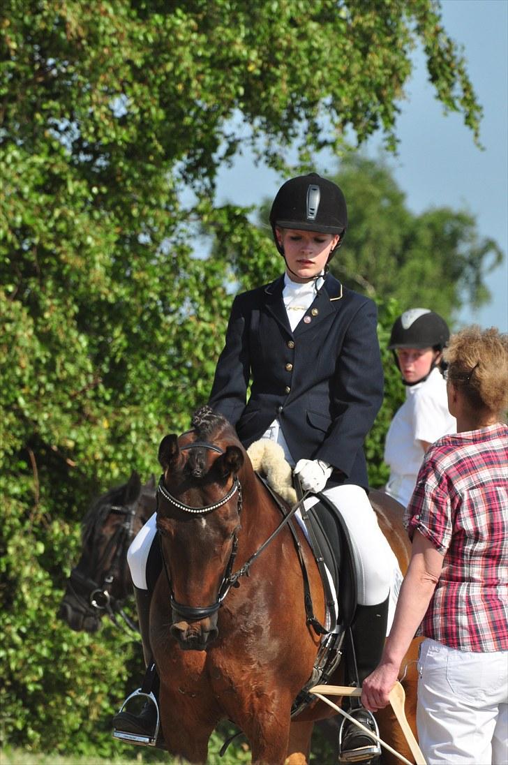 Anden særlig race Simba <3 - 16 - Jeg lovede, at du altid skulle være tryg ! <3 billede 16