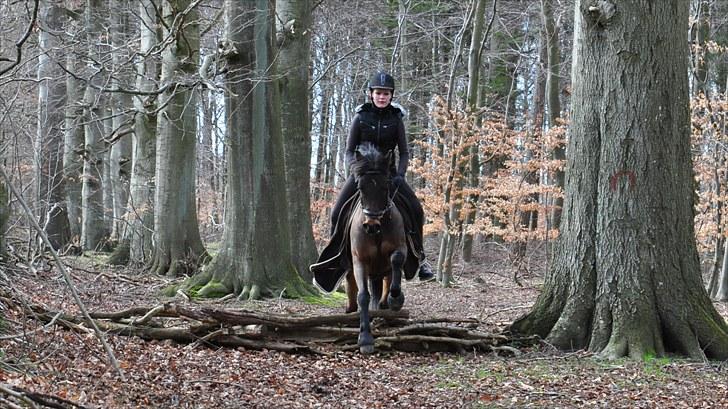 Anden særlig race Simba <3 - 17 -  Jeg lovede, at jeg altid ville passe dig så godt, som du havde fortjent ! <3 billede 17