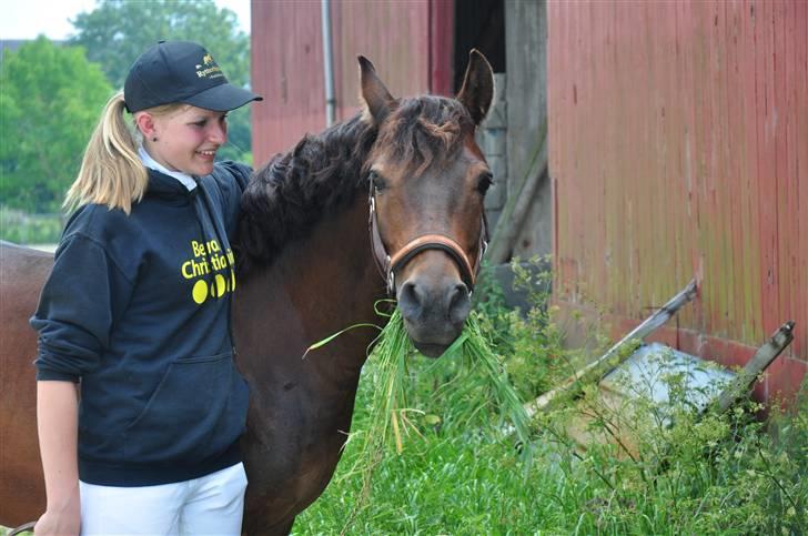 Anden særlig race Simba <3 - 18 - Jeg lovede, at du skulle blive en del af mit liv ! <3 billede 18