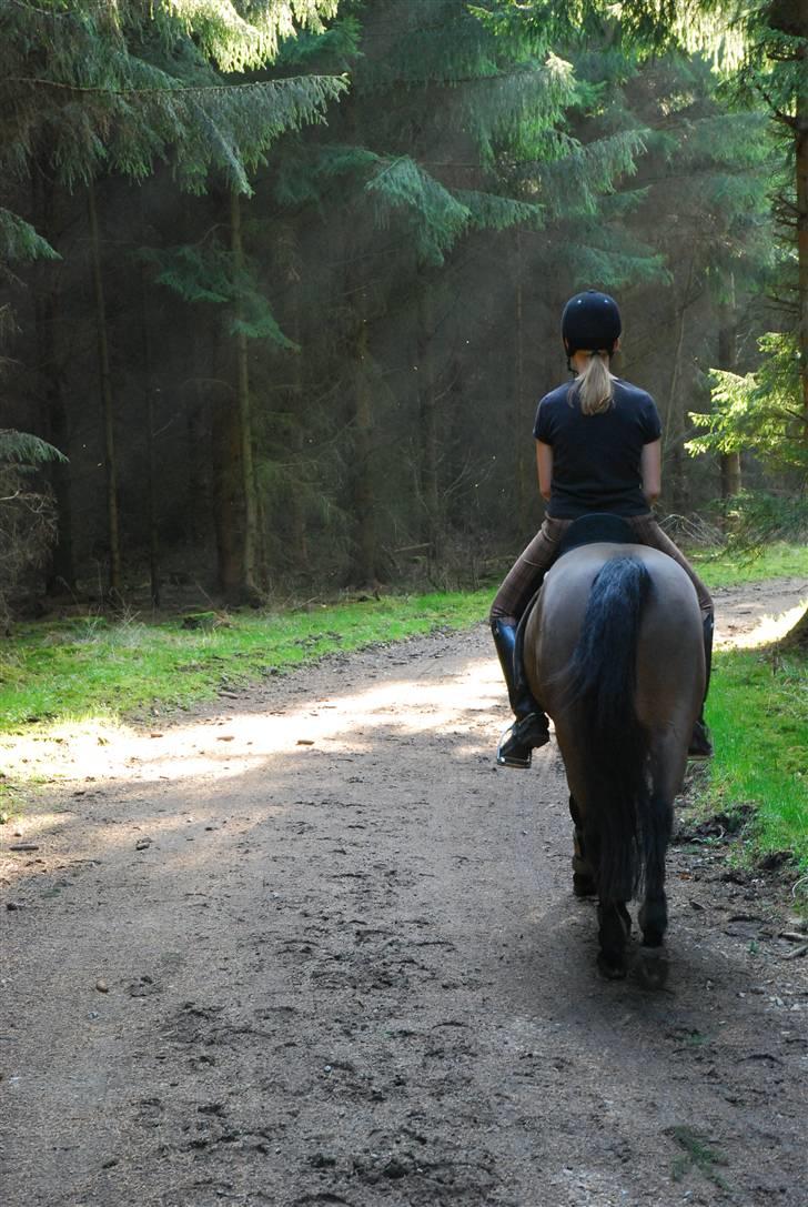 Anden særlig race Simba <3 - 20 - Jeg lovede, at jeg aldrig ville forlade dig ! <3 - Og jeg holder altid hvad jeg lover ! billede 20