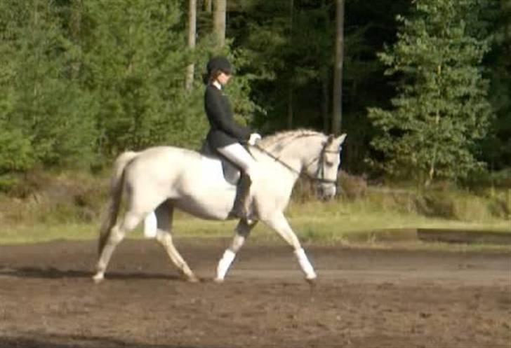 Anden særlig race Mor's Maisy SOLGT - lidt trav billede 16