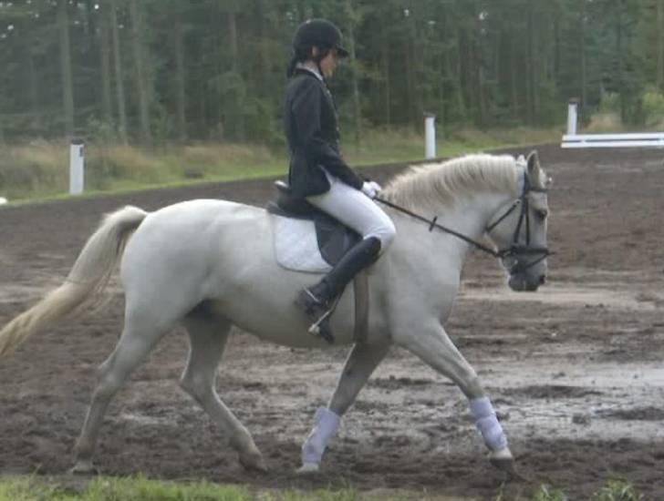 Anden særlig race Mor's Maisy SOLGT - sorry mit ben. var lige præcis ved at lave et anspring her.. billede 18