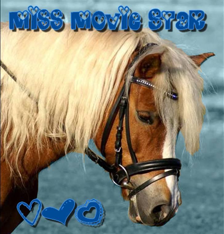 Anden særlig race Movie Star (Solgt.) - et billede fie og caro har lavet<3 billede 19