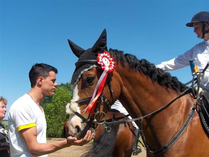 Dansk Varmblod welt-sohn R.I.P 2002-2009 - her har vi så lige vundet en spring klasse. (min kærste ved siden af) billede 3