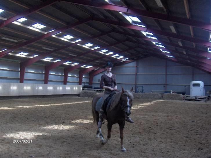 DSP Kavsgaards Arkibal - Himmelhest <3 - Agge og mig, lige blevet førdig med ridetime. For et stykke tid siden (: billede 10