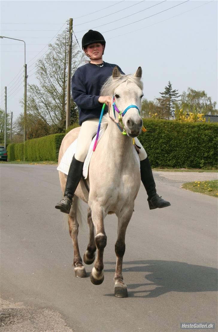 Anden særlig race Miss Dulle MIN! - Jeg ligner en idiot XD., Hehe billede 5