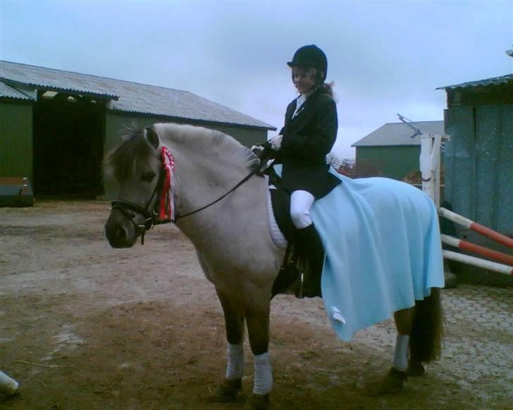 Fjordhest Ingegård's QTO *Savnet* <3 - Mickie og QTO med en flot 1. plads *S* i sku skrappe i 2 ;O) billede 4