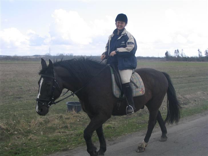 Oldenborg Tatan ( R.I.P.) - En overskyet efterårsdag i 2006, men vi nyder som altid vores skridtture ud i det blå billede 4