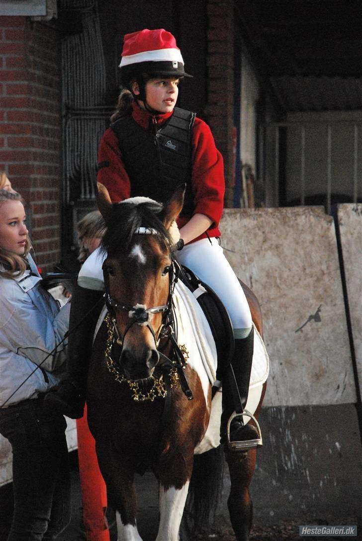 Pinto casanova<3 stjernen<3 - juleshow 20 december -08 præcis den dag jeg havde haft hende i 2 år :)<3 billede 4