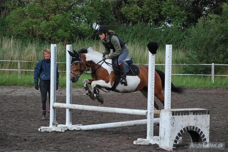 Pinto casanova<3 stjernen<3 - en af guds engle billede 6