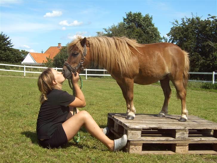 Anden særlig race *Lille-mand* billede 12