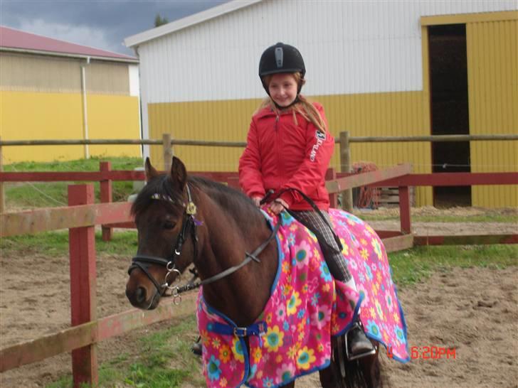 Anden særlig race Mr. X **solgt** billede 1