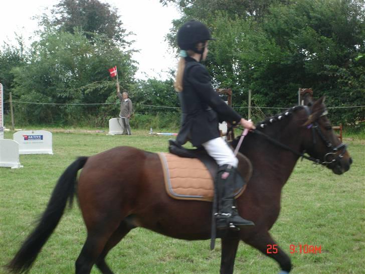 Anden særlig race Mr. X **solgt** billede 2