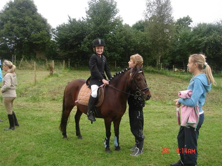 Anden særlig race Mr. X **solgt** billede 3