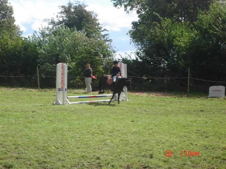 Anden særlig race Mr. X **solgt** billede 4