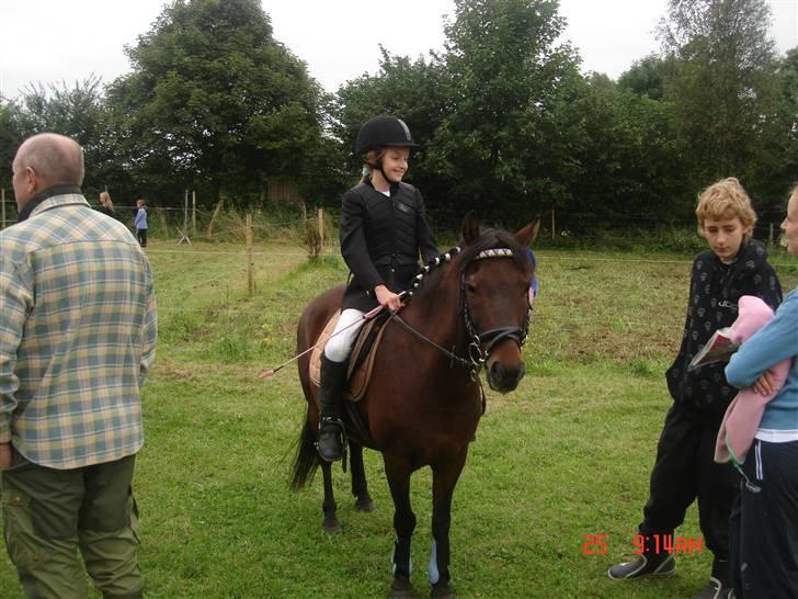 Anden særlig race Mr. X **solgt** billede 5