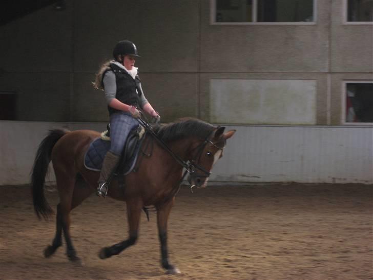 Anden særlig race Karoline (solgt) - Lidt trav(: ´ hun er vist lidt hidsig? d: billede 5