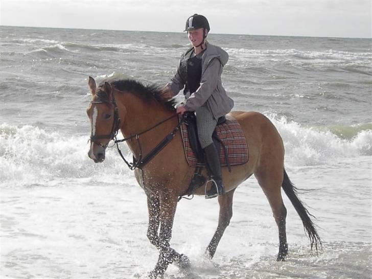 Anden særlig race    Lucas  solgt - mig og nadia på fjand heste camping ude og ride ved stranden vildt fedt elsker min lille skat billede 19