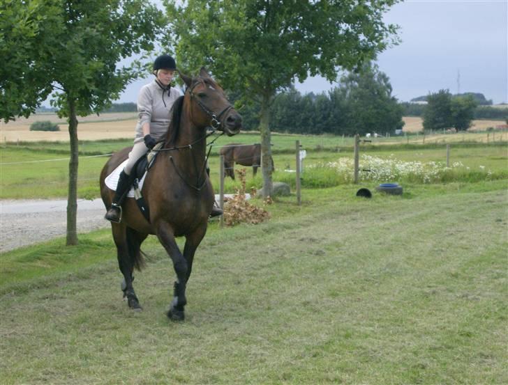 Oldenborg ** manja er solgt** - Undervisning billede 13