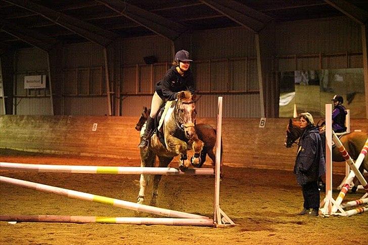 Anden særlig race - Warzakki :')  - 8 | Min herlige dreng! Vi har ikke sprunget et halvt år, og han tager det bare med det største smil :´D. D. 21.11.10 af René Lyngø. billede 8