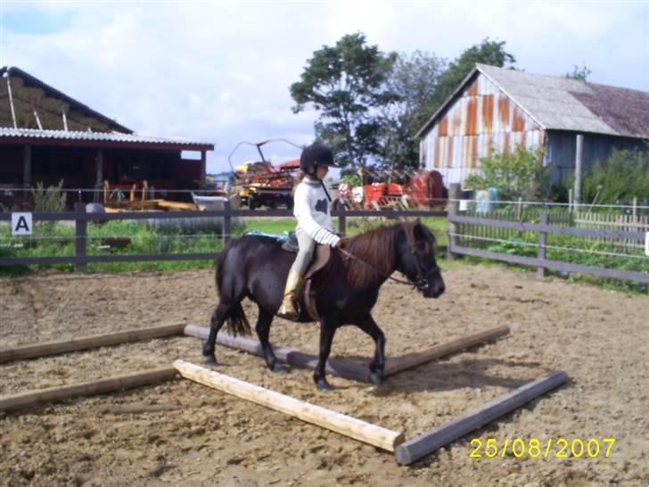 Anden særlig race Nickeline - Så skal der rides pony games billede 7