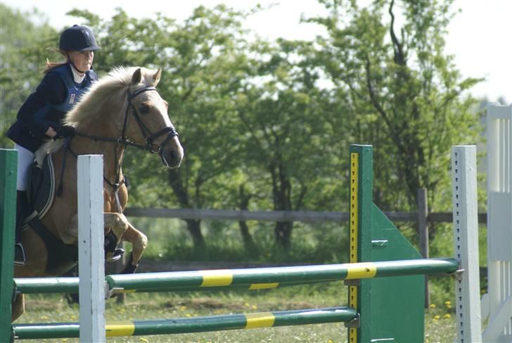 DSP Bes   - stævne i Løgstrup . billede 1