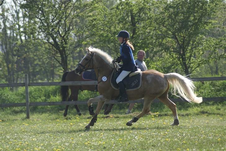 DSP Bes   - stævne i løgstrup , er hun ikke bare dejlig ?` :b  billede 2