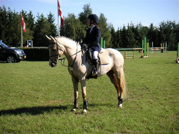 DSP Bes   - gammelt billede - havde næsten lige fået hende (;  billede 3