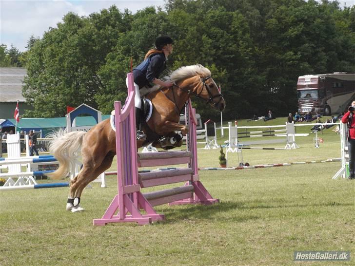 DSP Bes   - morsø 2009! <3 LT-FOTO - Trine  billede 5