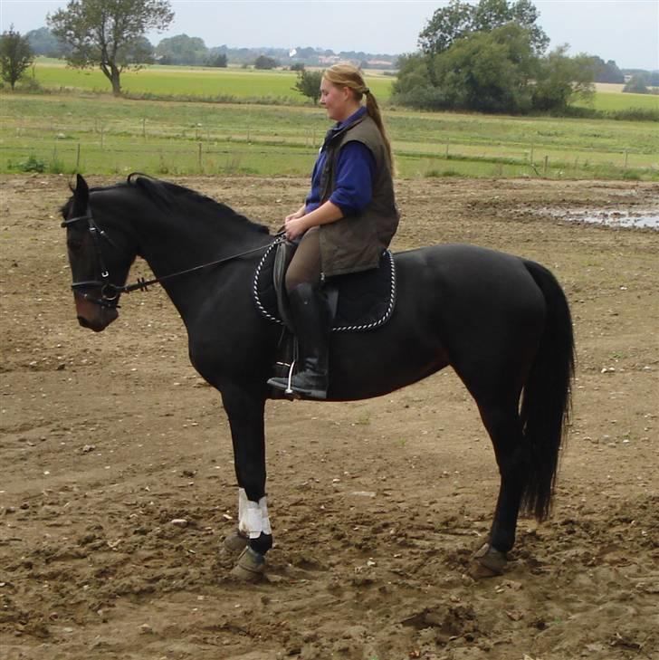 Dansk Varmblod Zobel - Zobel d. 19. september 2007 med min veninde på ryggen. billede 6