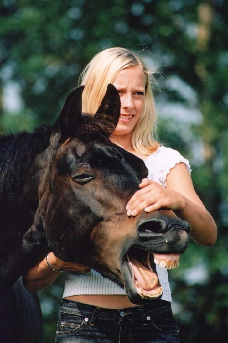 New Forest Tobias Vesta - tobias og helle ( min søster) billede 1