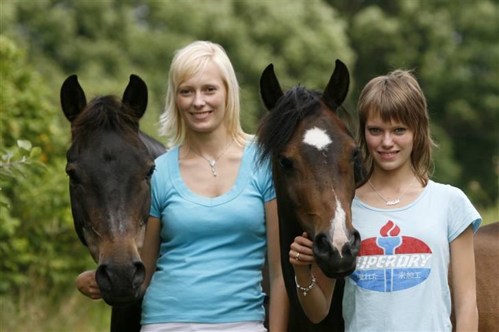 New Forest Tobias Vesta billede 5