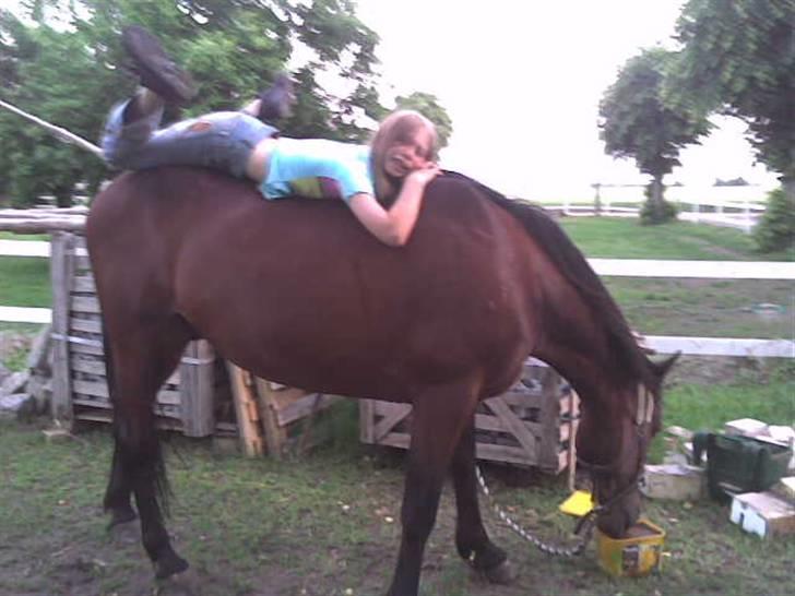 Traver Lep - ren hygge billede 2