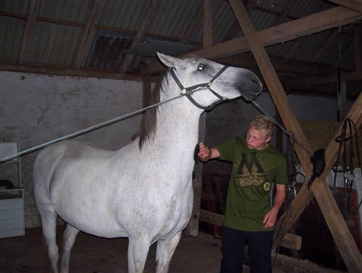 Anden særlig race Zar *SOLGT* billede 14