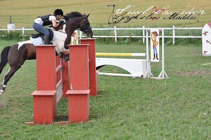 Pinto Lyngholms Maddie - Ridelejr hos Lars Fedder uge 28 2010. Foto: Ole, Red.: Mig selv billede 1