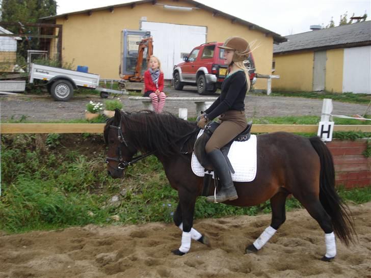 Anden særlig race Selina  - solgt - billede 4