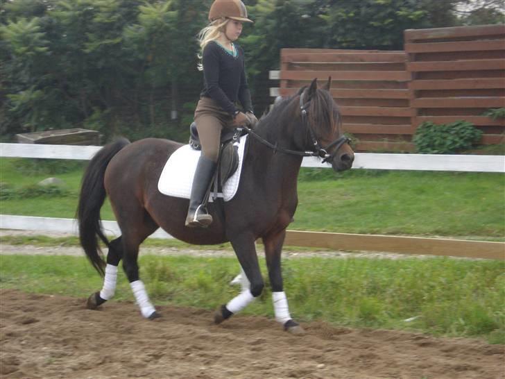 Anden særlig race Selina  - solgt - billede 6