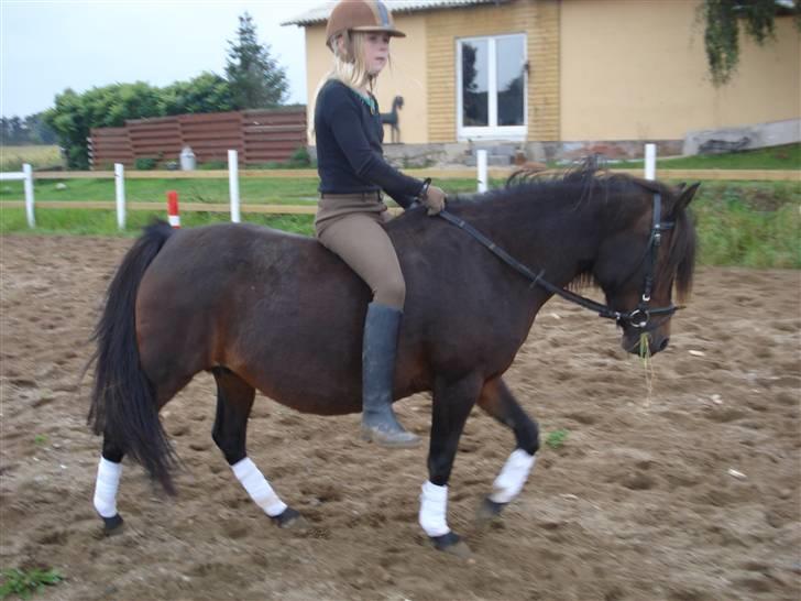 Anden særlig race Selina  - solgt - - Det er altid dejligt at skidte af uden sadel... billede 8