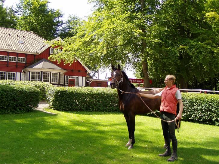 Anden særlig race Satrain off Fejø Solgt - Her er han så med Far inde og prøve Klampenborgbane det nød han billede 7