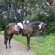 Traver Tornado Højgaard