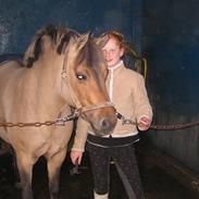 Anden særlig race Hyldtoft's Snerle 