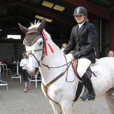 Anden særlig race Petit Cheval (SOLGT)