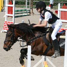 Anden særlig race Bastian "SAVNET"