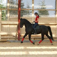 Oldenborg Frederikke Af Hvorvarp