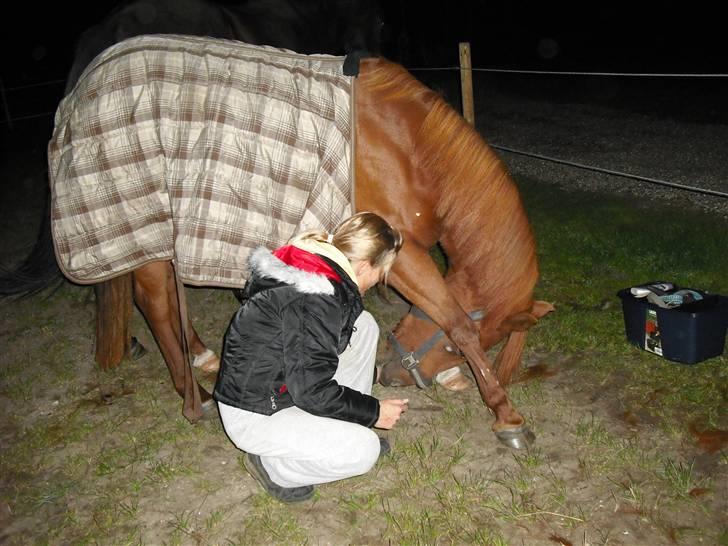 Anden særlig race wendy - hun bugger med dækken en sen sommer aften.... det var så hygge du var så fin min skat... <33  billede 13