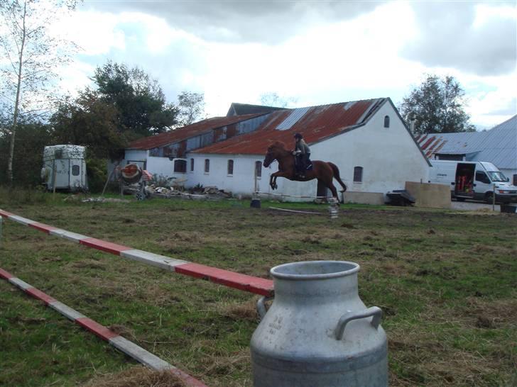 Anden særlig race wendy - så løfter hun sig vist lige en gang billede 19