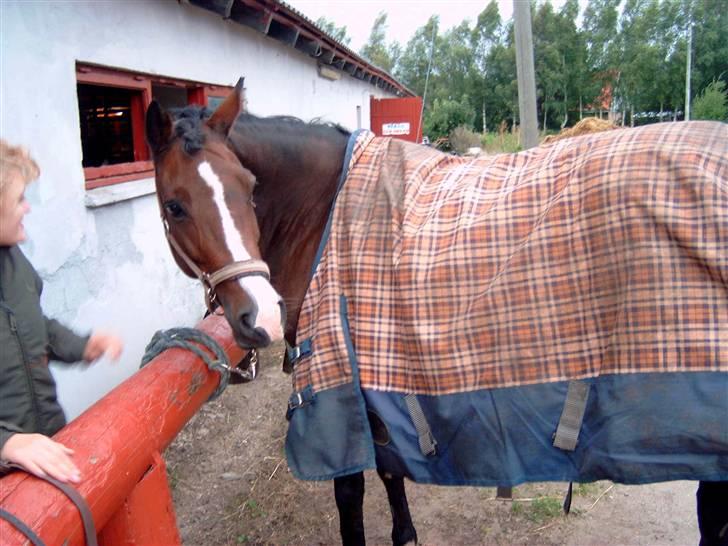 DSP Atlanta (DØD) R.I.P - en dag vi kedede os :D Foto : Mig,  billede 6