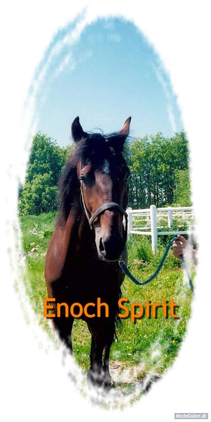 Traver Enoch Spirit(R.I.P) - Lavet af Team Kir billede 18